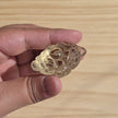 Citrine Money Toad | One Intuitively Chosen Money Toad