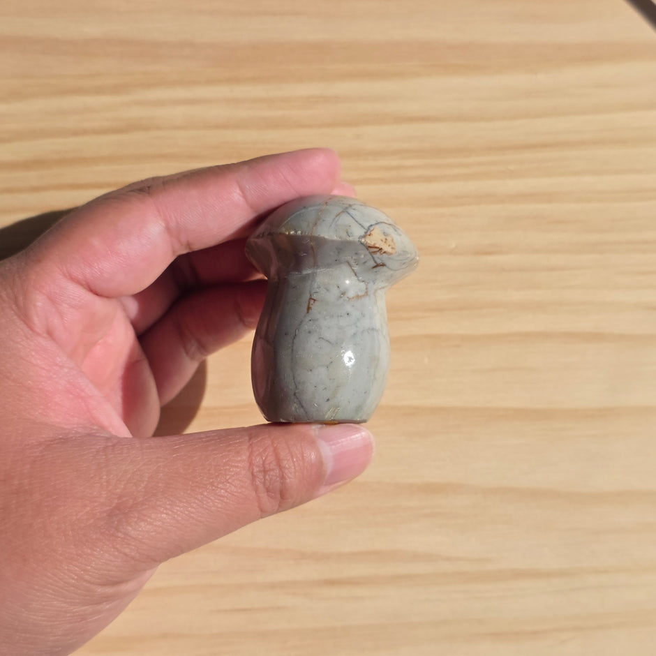Polychrome Jasper Mushroom | Option A
