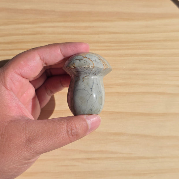Polychrome Jasper Mushroom | Option A