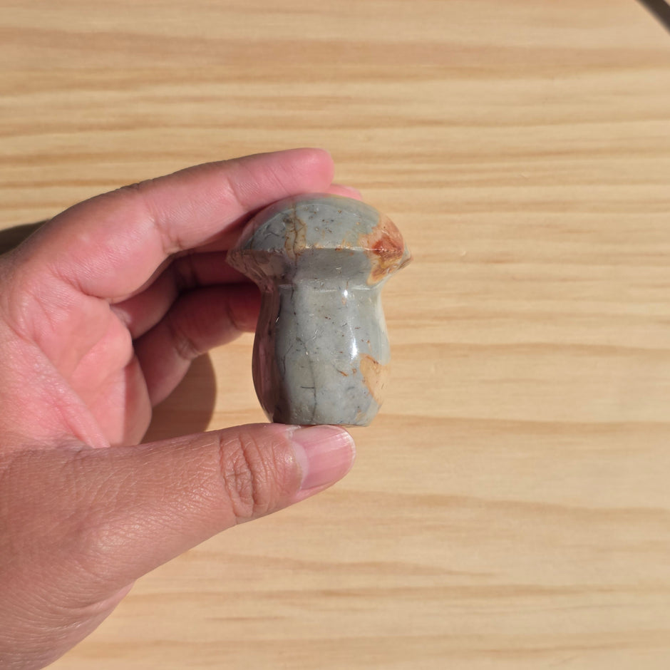 Polychrome Jasper Mushroom | Option A