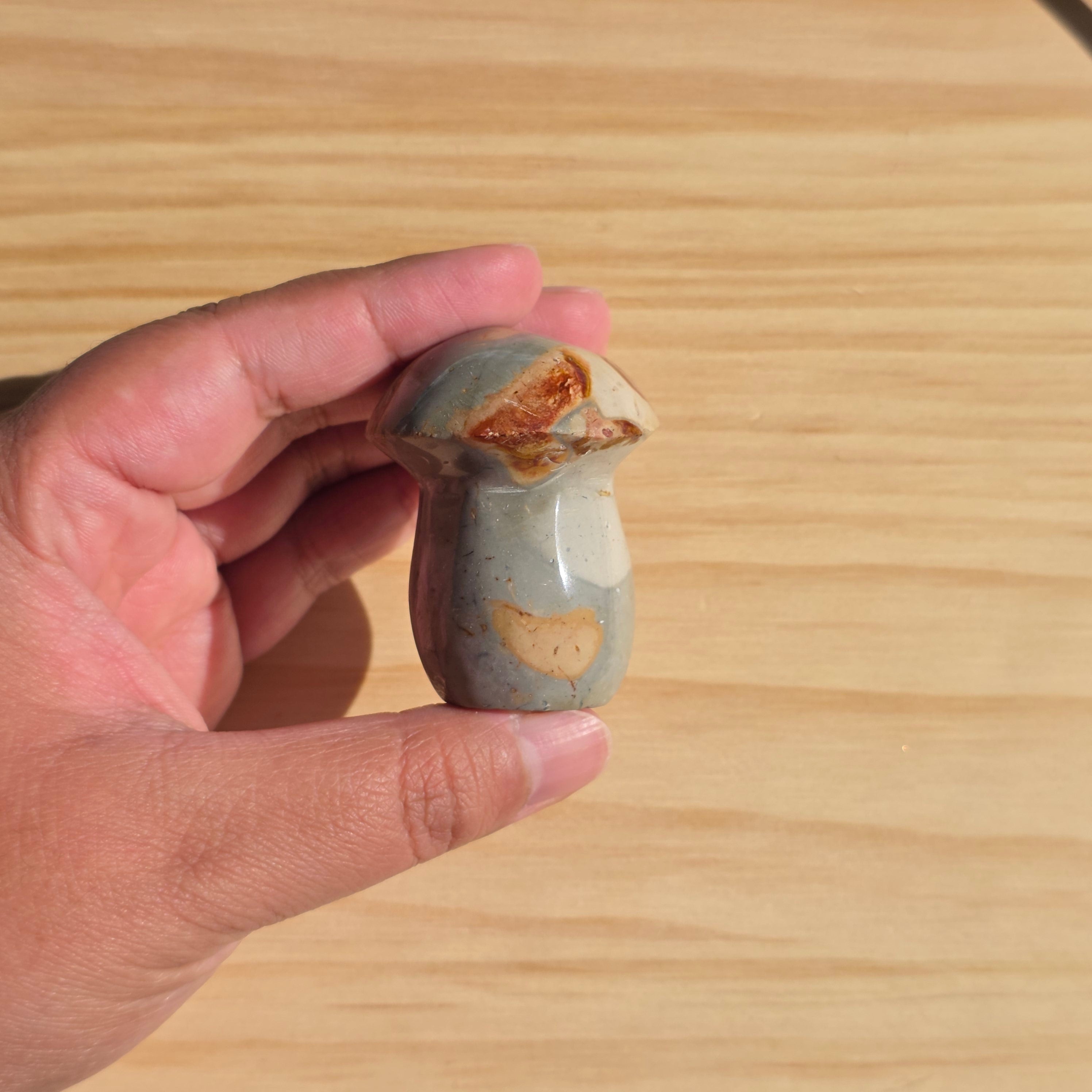 Polychrome Jasper Mushroom | Option A