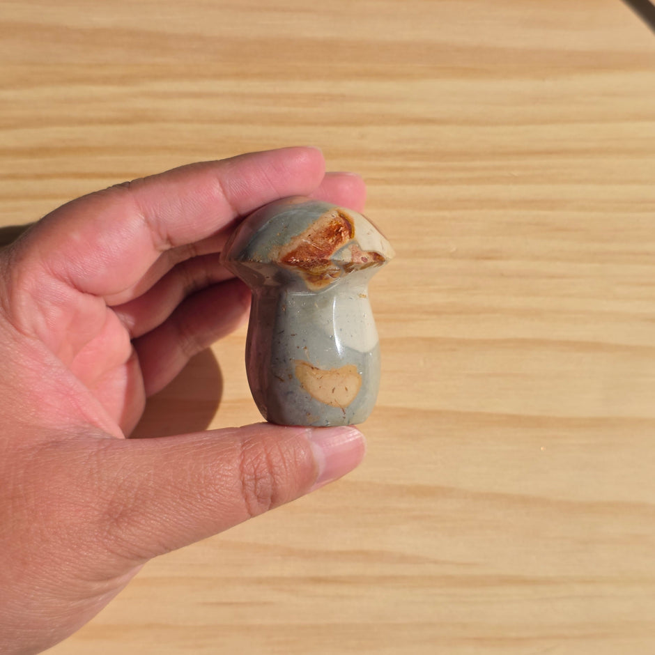 Polychrome Jasper Mushroom | Option A