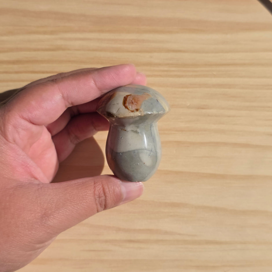 Polychrome Jasper Mushroom | Option A