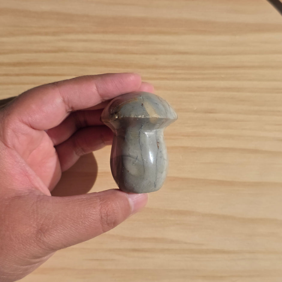 Polychrome Jasper Mushroom | Option A