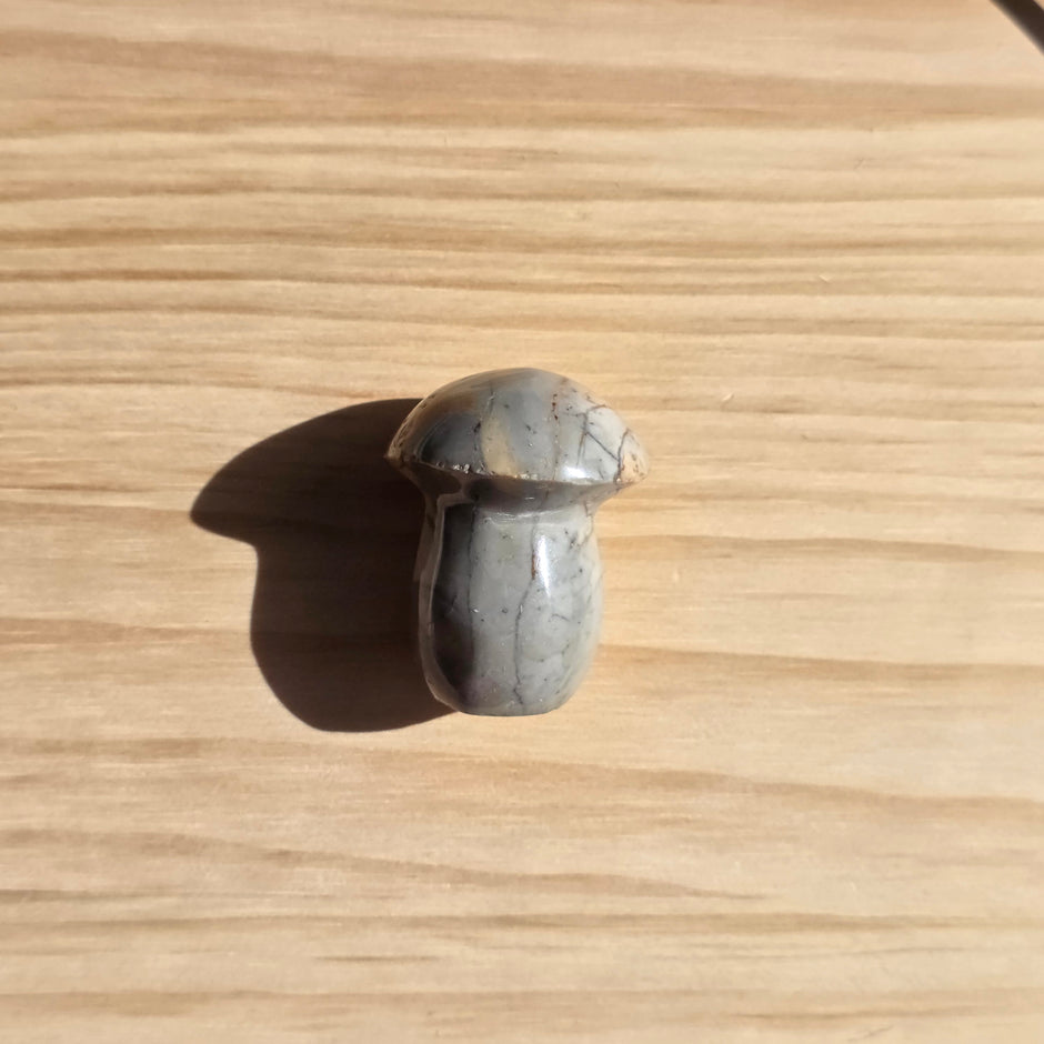 Polychrome Jasper Mushroom | Option A