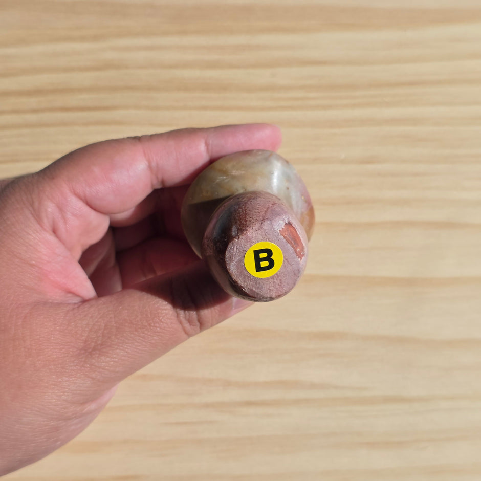 Polychrome Jasper Mushroom | Option B