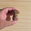 Polychrome Jasper Mushroom | Option B