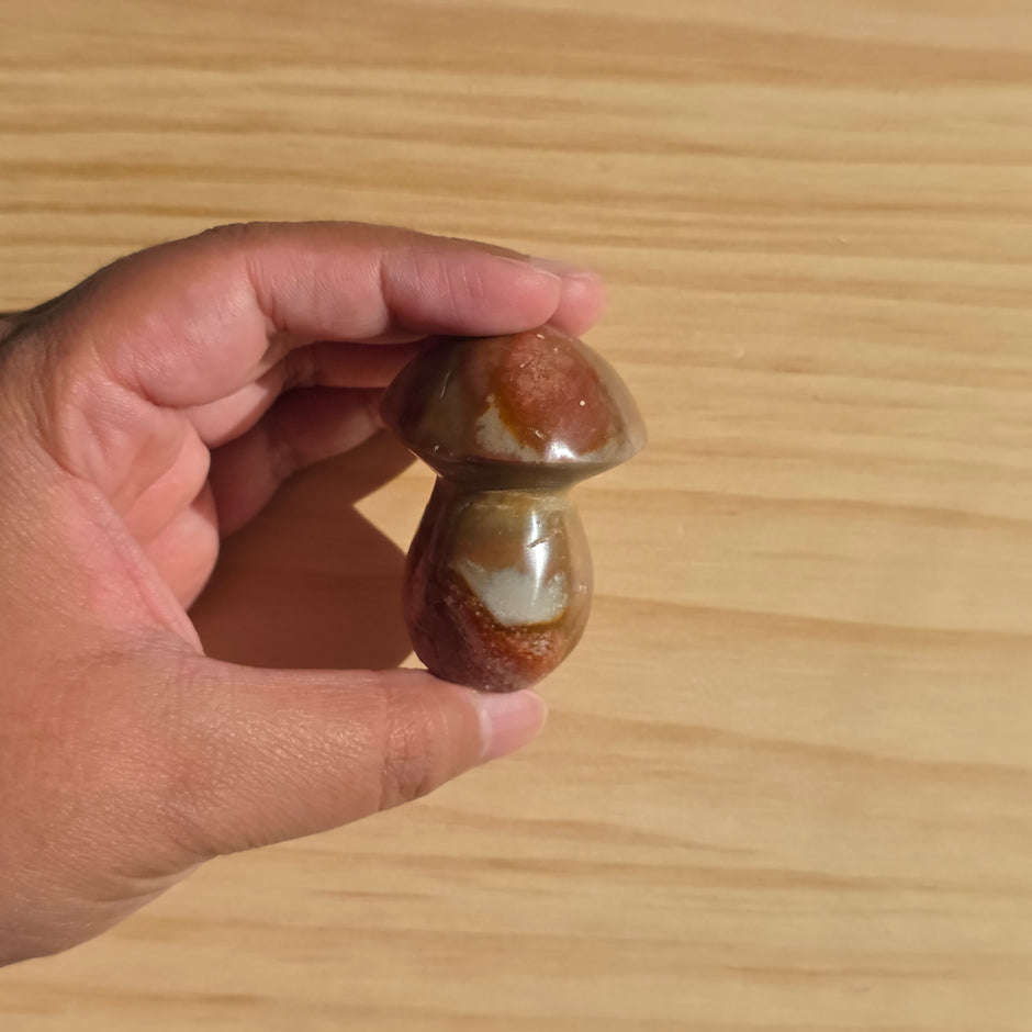 Polychrome Jasper Mushroom | Option B