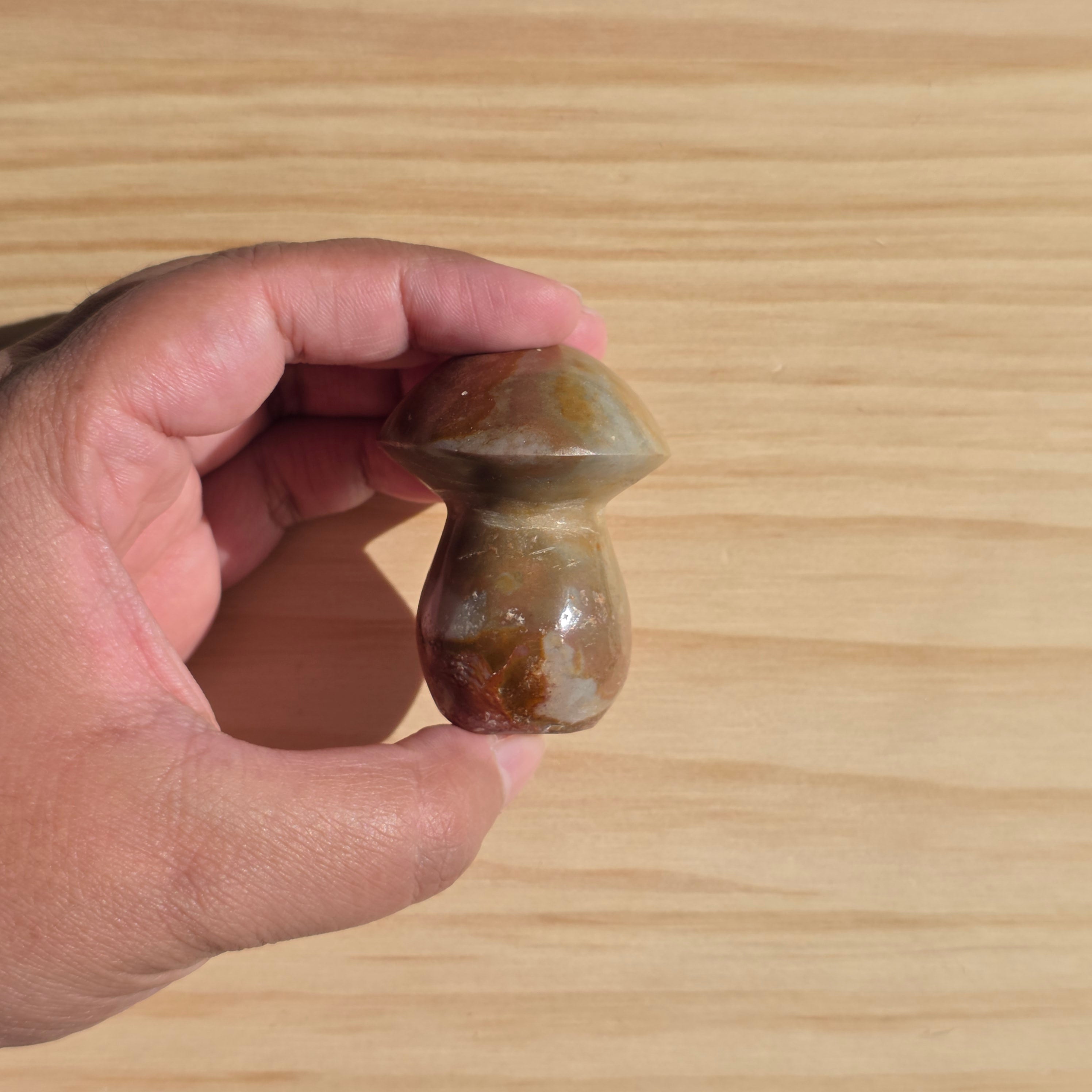 Polychrome Jasper Mushroom | Option B