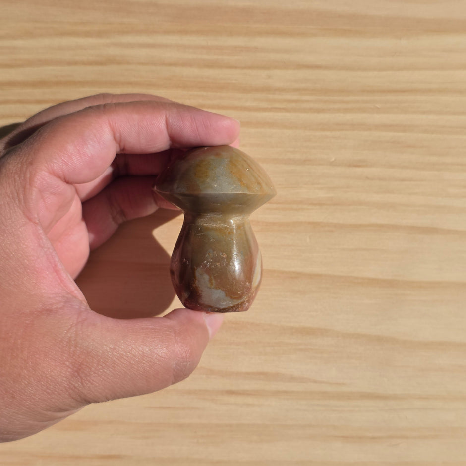 Polychrome Jasper Mushroom | Option B