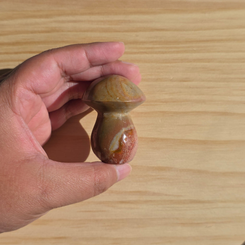 Polychrome Jasper Mushroom | Option B