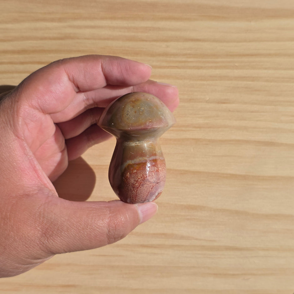 Polychrome Jasper Mushroom | Option B