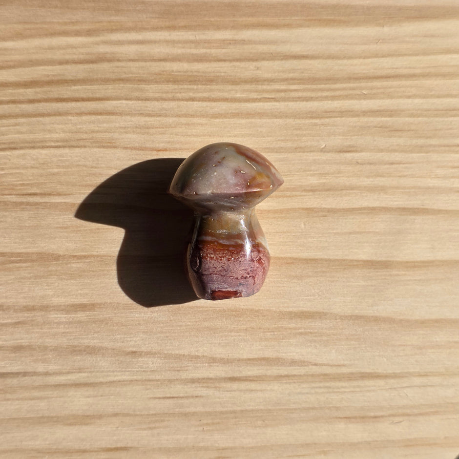 Polychrome Jasper Mushroom | Option B