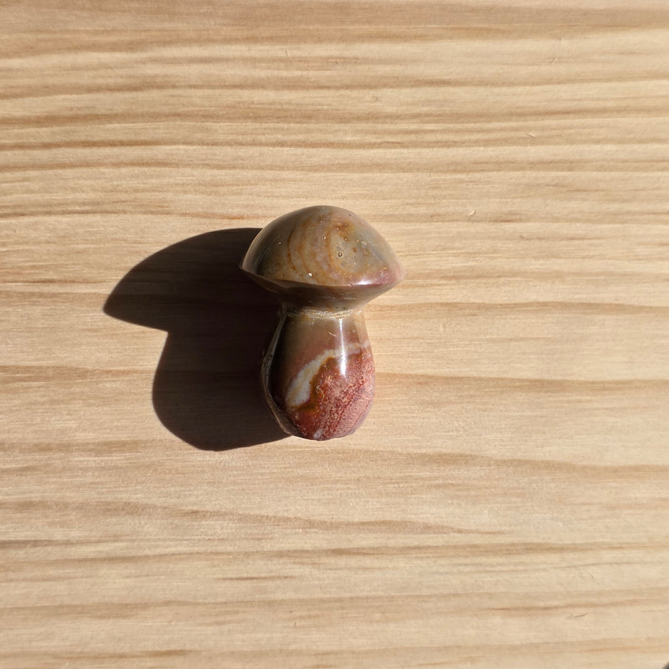 Polychrome Jasper Mushroom | Option B