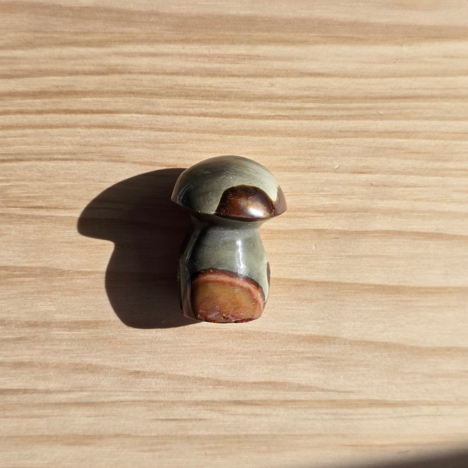 Polychrome Jasper Mushroom | Option C