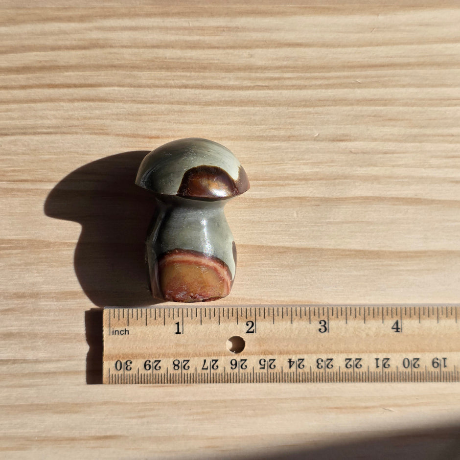 Polychrome Jasper Mushroom | Option C