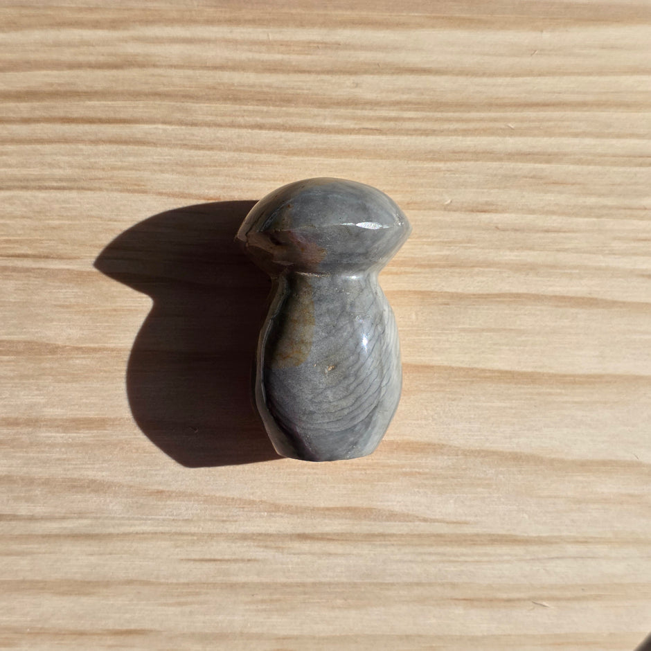 Polychrome Jasper Mushroom | Option D