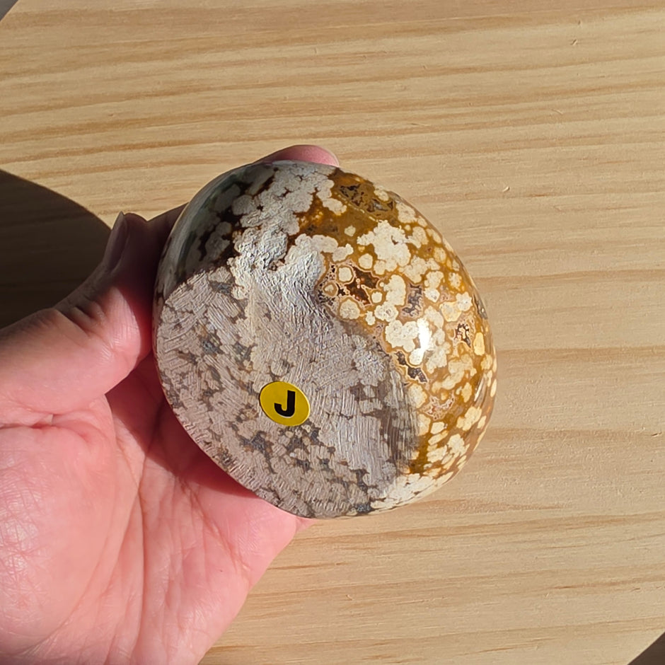 Polychrome Jasper Bowl | Option J