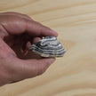 Rough Zebra Calcite (Durango, MX) | One Individual Piece