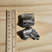Rough Zebra Calcite (Durango, MX) | One Individual Piece