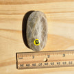 Grey Moonstone Palmstone with Blue Flash | Option B
