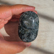 Moss Agate Palmstone | Option K