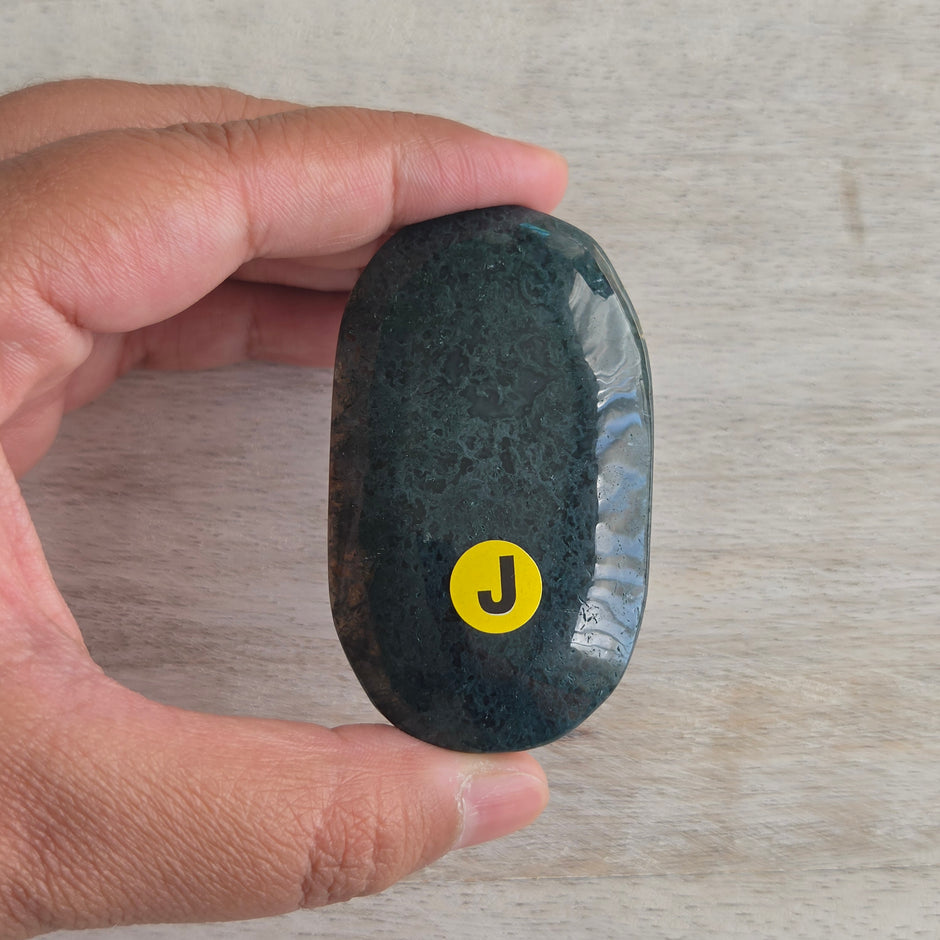 Moss Agate Palmstone | Option J