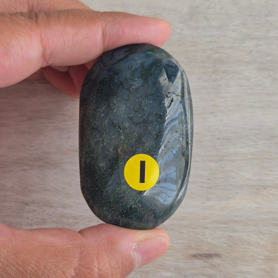 Moss Agate Palmstone | Option I