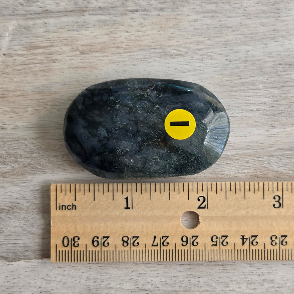 Moss Agate Palmstone | Option I
