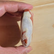 Red Jasper Palmstone - One (1) Individual Piece